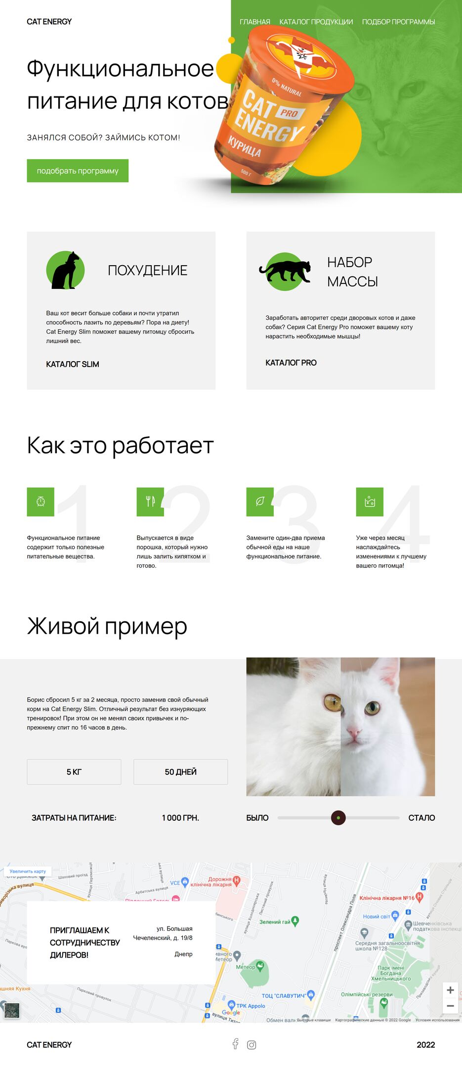 web-smith.com.ua_project_cat-energy_index.html.png