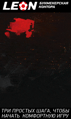 Leon3-240-400.gif