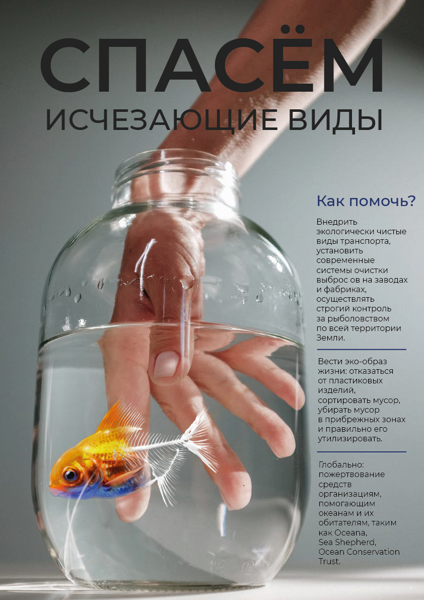 Плакат ПОСЛЕ.png