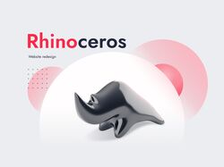 Редизайн сайта Rhinoceros.
