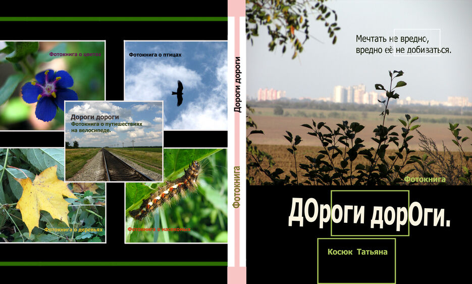 Дороги дороги обл.jpg