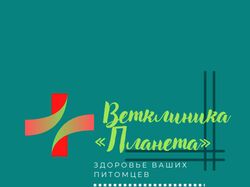 Баннер ветеринарной клиники