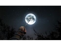 Прочие работы