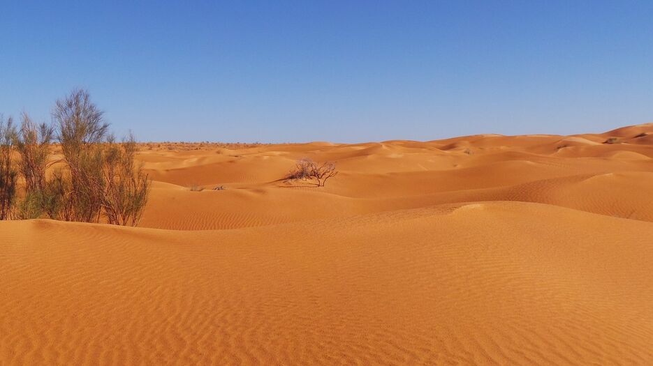 field_image_sahara-desert-4-1140838.jpg