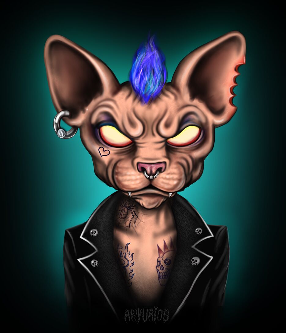 PunxSphynx.jpg
