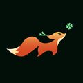 Dendisfox_design