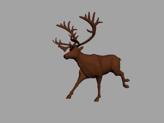 Бег оленя.gif