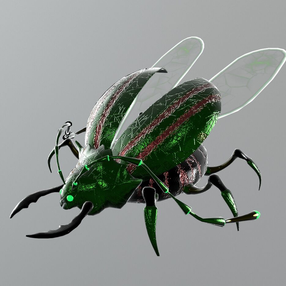 bug_007.jpg