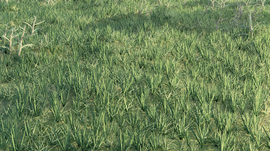 slodi-photoshop-render.jpg