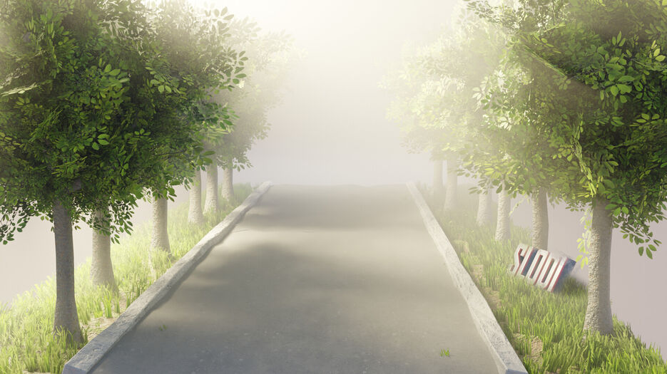 slodi-roadwithtreesslodi.jpg