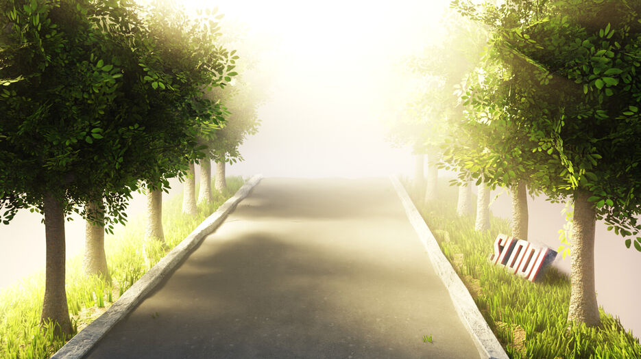 slodi-roadwithtreesslodilook2.jpg