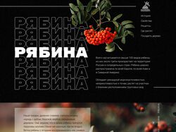 Концепция информационного сайта