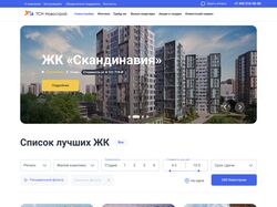 Дизайн сайта ТСН Новострой