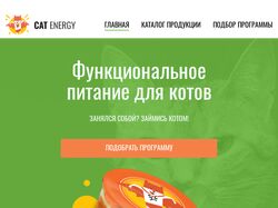 Landing page 'Cat Energy'