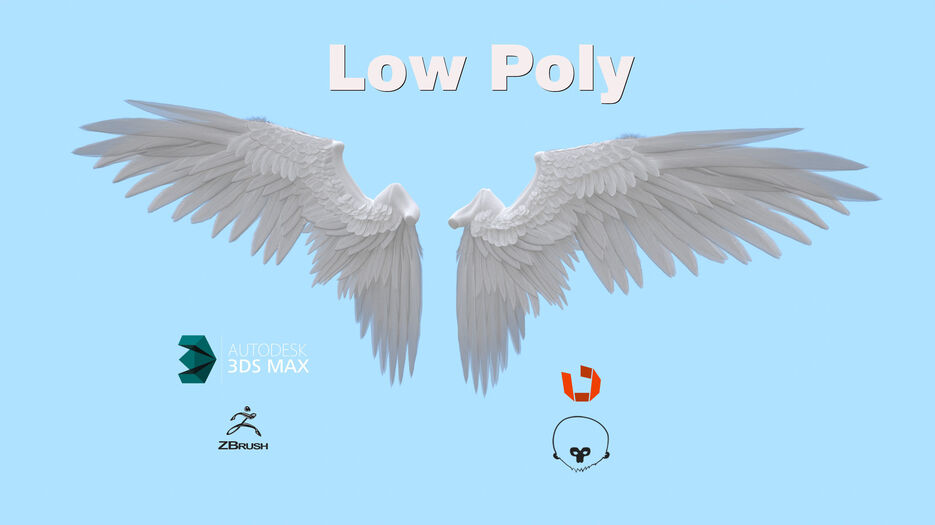wings-3d-model-low-poly-animated-rigged-max-obj-fbx.jpg