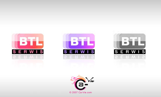 BTL Serwis.jpg