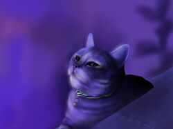 Сэм на вечеринке