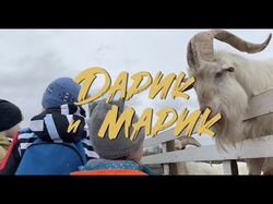Экскурсия на ферму
