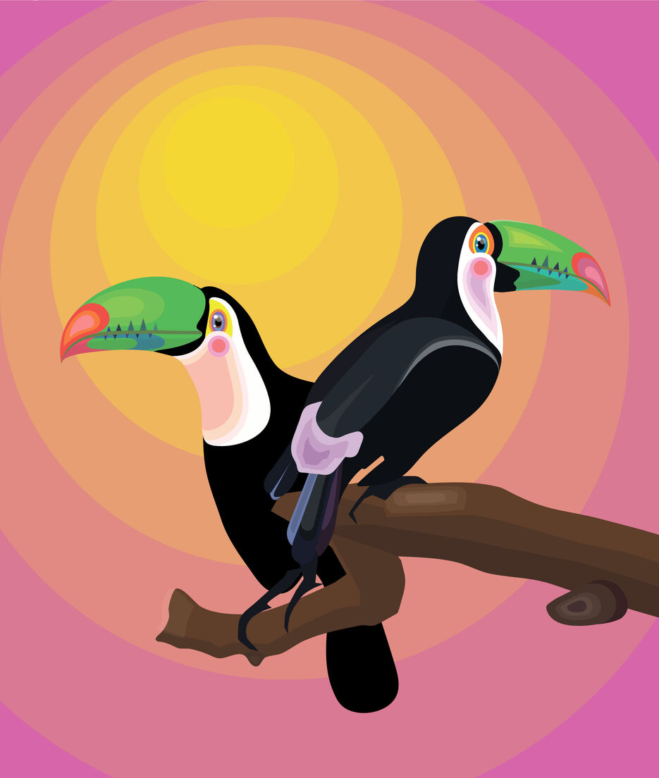toucan.jpg