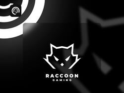 Логотип для организации Raccoon Gaming