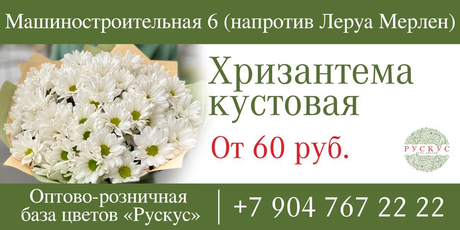 Рускус_хризантемы.png