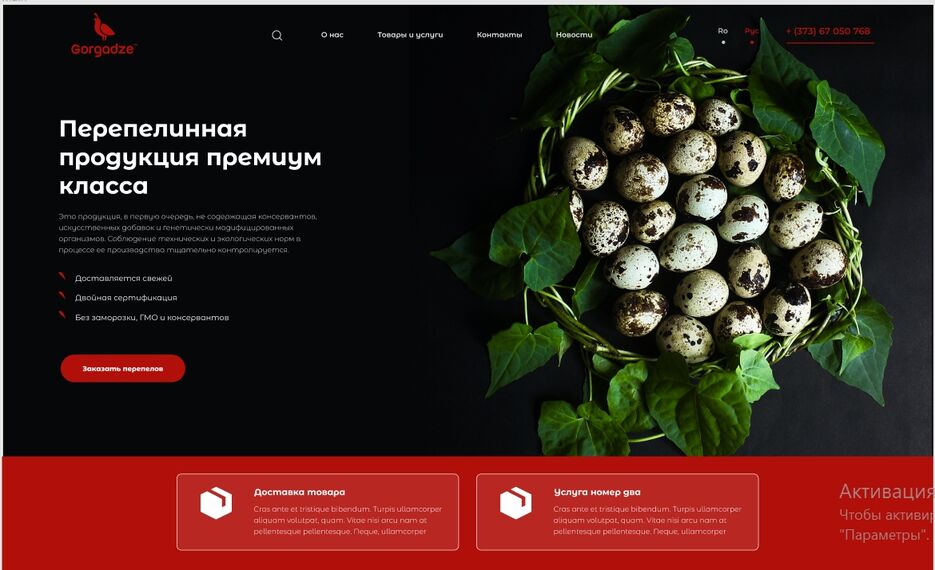 gorgadze – Figma - Google Chrome.jpg