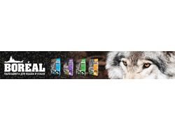Набор баннеров для рекламы корма Boreal