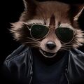 SteepRaccoon