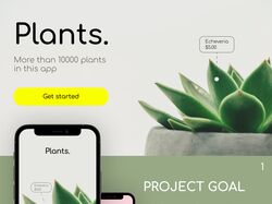 Дизайн мобильного приложения PLANTS