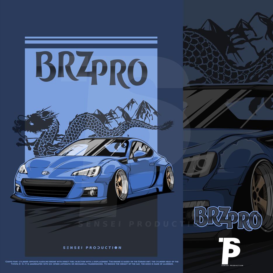 BRZ PRO.png