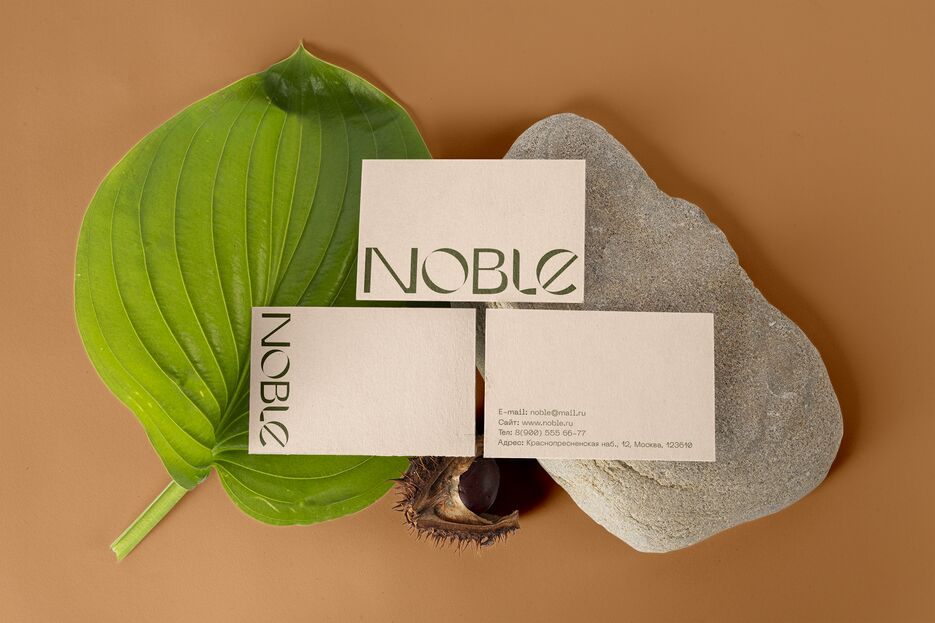 3 виз- подорожник и камень.png