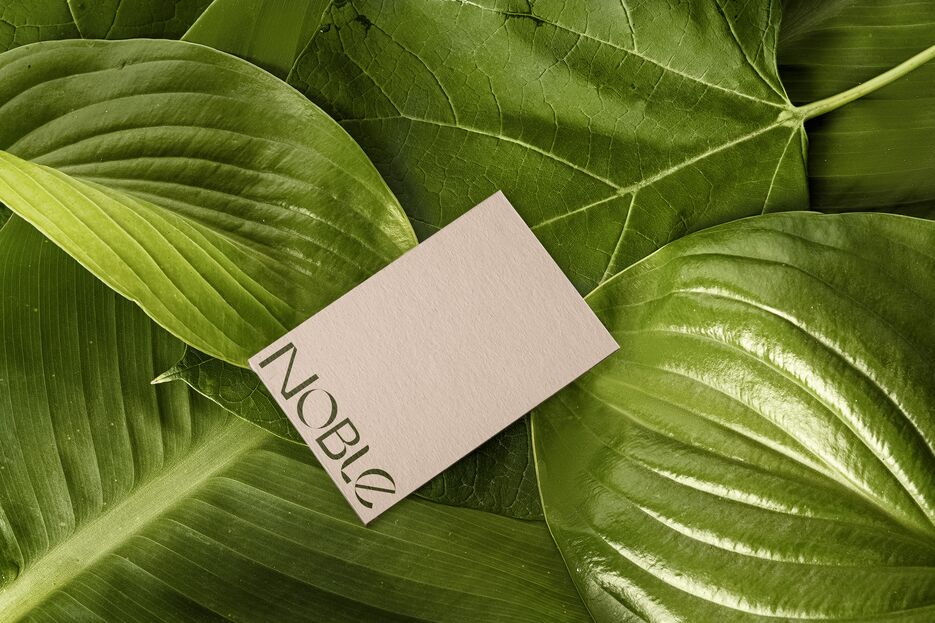 подорожник 1 визитка.png