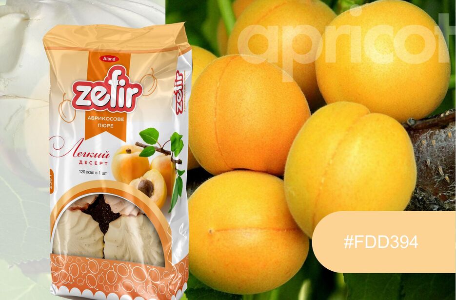 ZEFIR-3.jpg