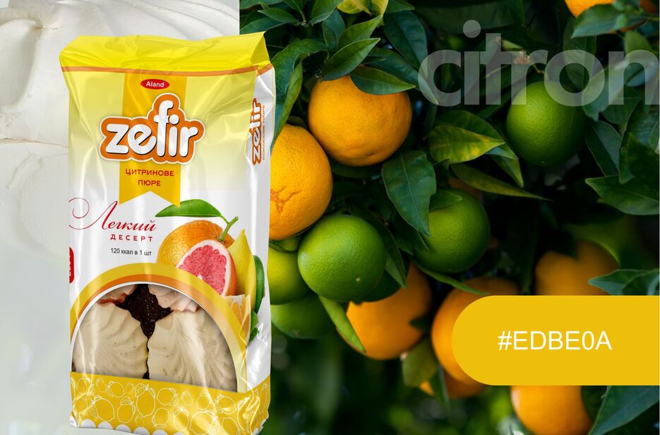 ZEFIR-4.jpg