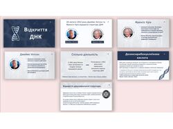 Презентация PowerPoint