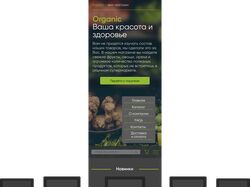 Концепт дизайна для эко-магазина