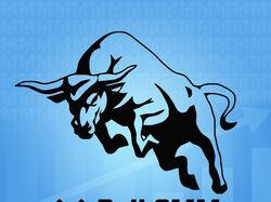 Аватар для "Bull SMM"