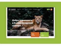Дизайн сайта для Калининградского зоопарка
