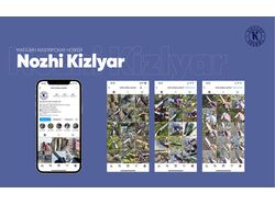SMM - продвижение кизлярских ножей