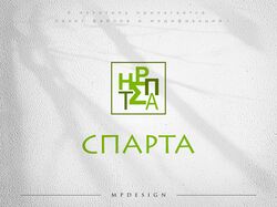 ЛОГОТИП И САЙТ. Входные двери.