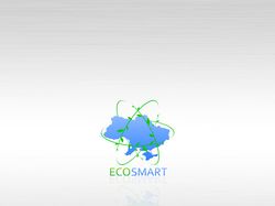 EcoSmart