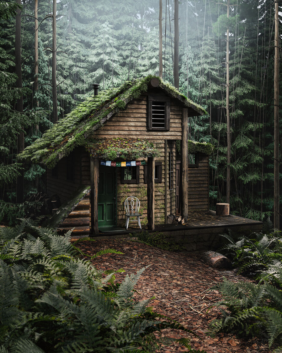 ForestJPEG.jpg