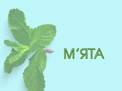 Логотипи