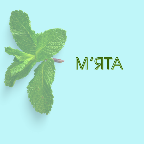м'ята.png