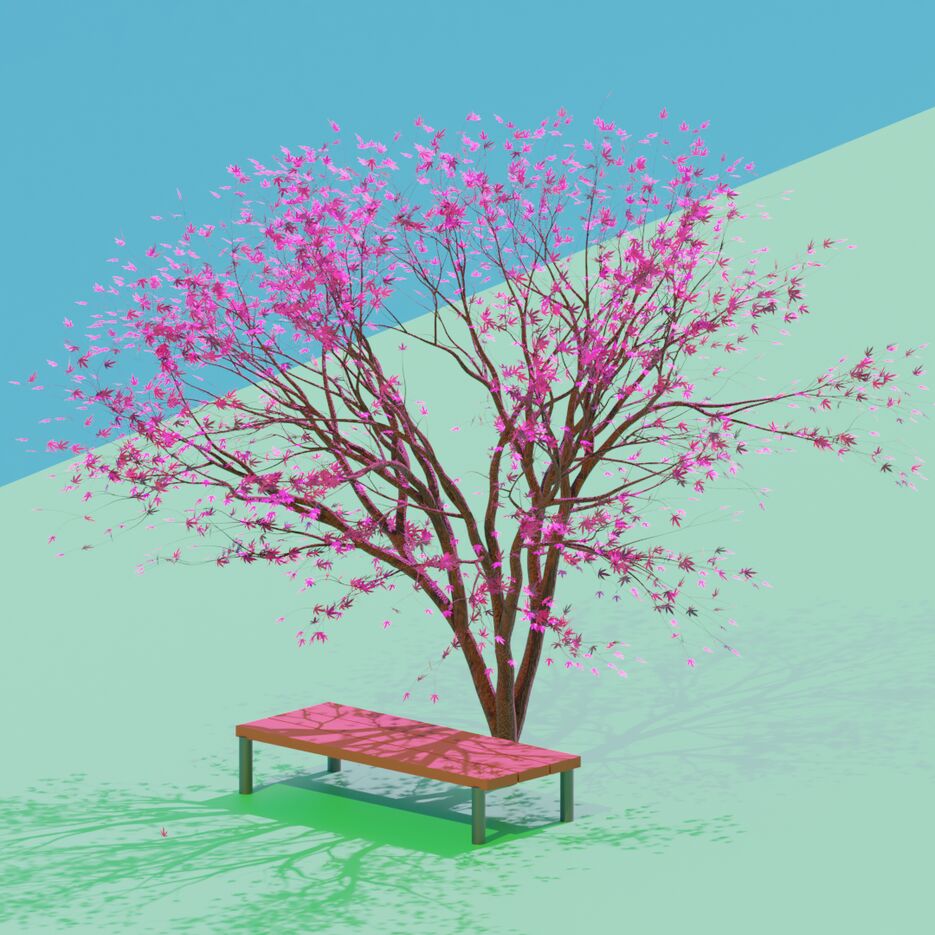 sakura_i_lavochka.png