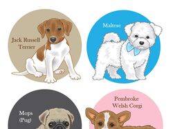 Собаки в векторе