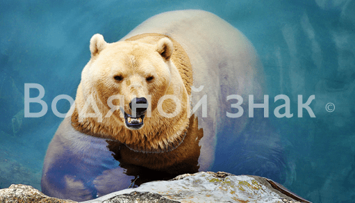 2DC365E9-EF9A-41E5-95C3-A1F823D126FF.png