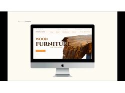 E-commerce/ online store