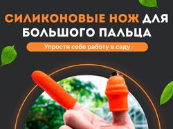 ДИЗАЙН КАРТОЧЕК ДЛЯ WIlDBERRIES: