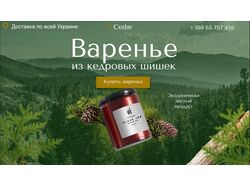 лендинг